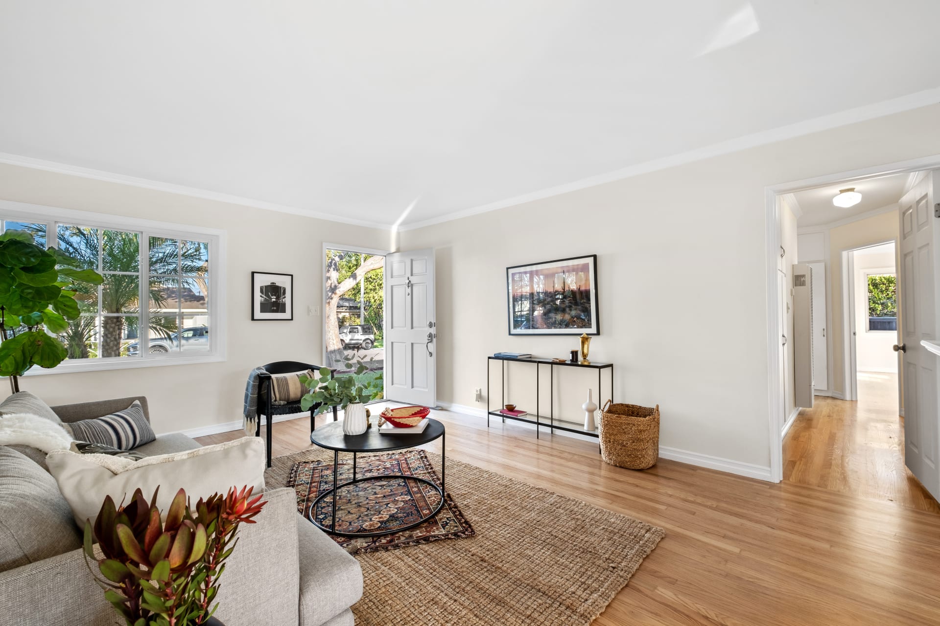 223 Lillian Place 