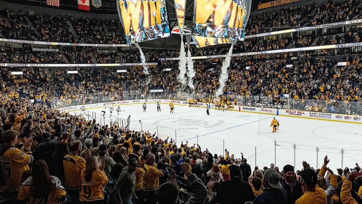 Nashville Predators  image