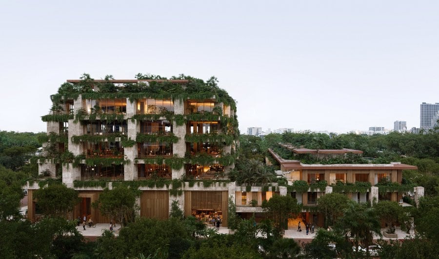 ZIGGURAT | Coconut Grove