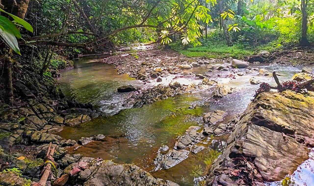 Charming 2-Bedroom Home in Ojochal, right off Finca Marañon, with stunning jungle & mountains views.