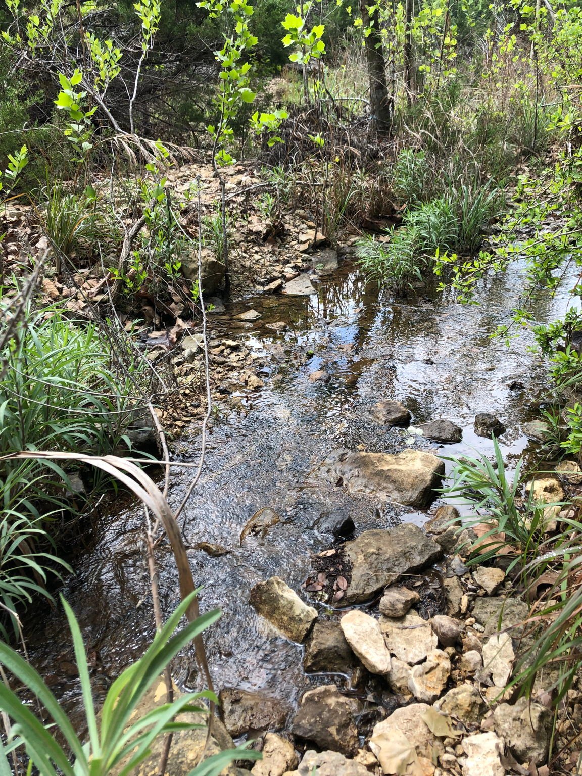 100 Dario Dr. Dripping Springs  Tx 78620