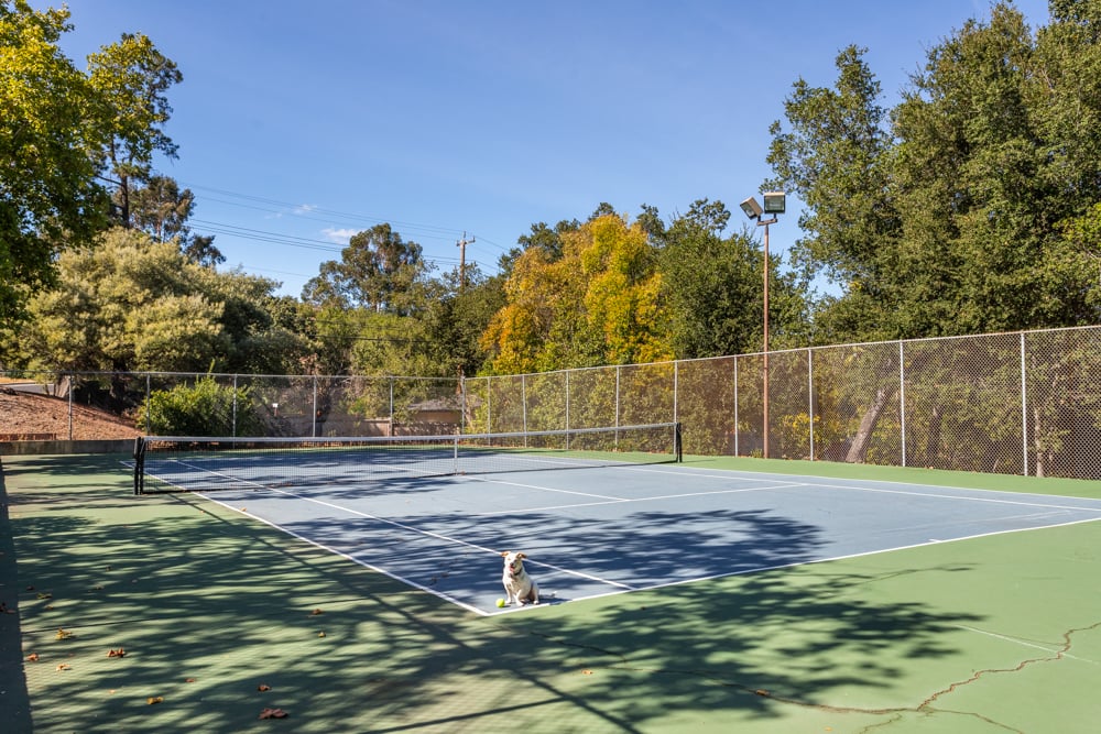 Fixer-Upper in Skywest!