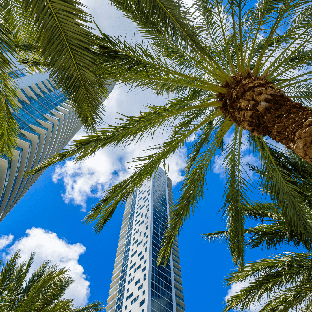 Florida Lead the US in New Business Filings in 2021