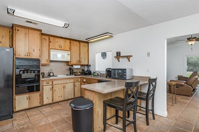 527 Ricebird Drive