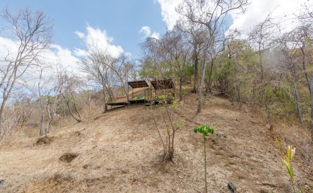 Stylish Jungle Home in Playa Grande