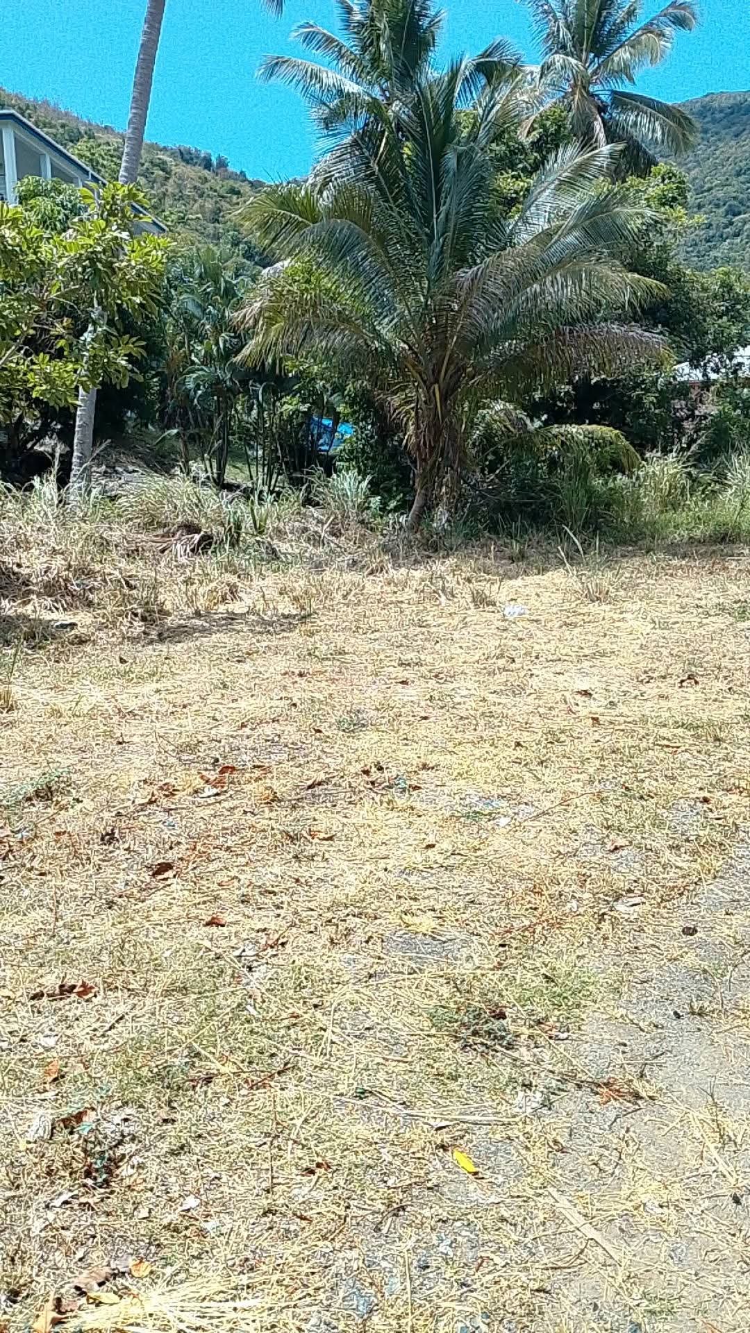 1137 Land for Commercial Lease