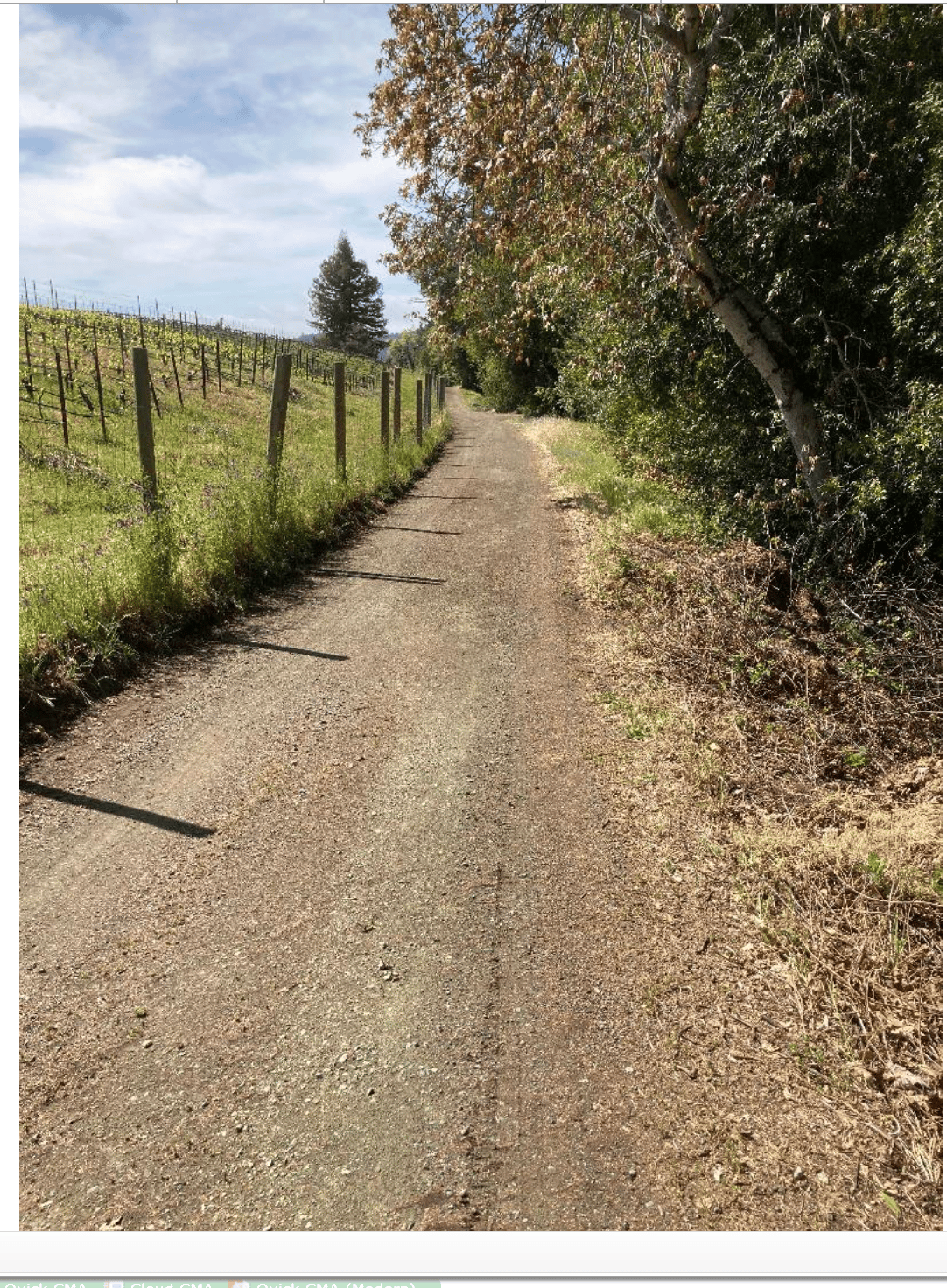 19089 Skyline Boulevard