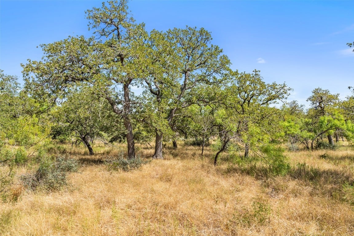 18.145 Acres Herber-schaefer Rd