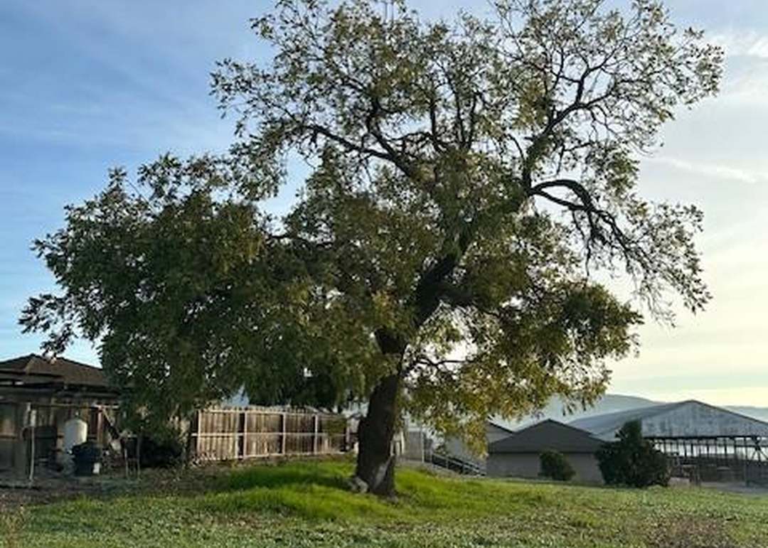 4790 Pacheco Pass Hwy