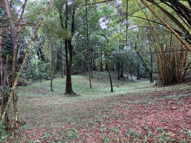 17.85 ACRES – Stunning Large Land With 2 Waterfalls Near Dominical Beach!!!