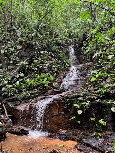 17.85 ACRES – Stunning Large Land With 2 Waterfalls Near Dominical Beach!!!
