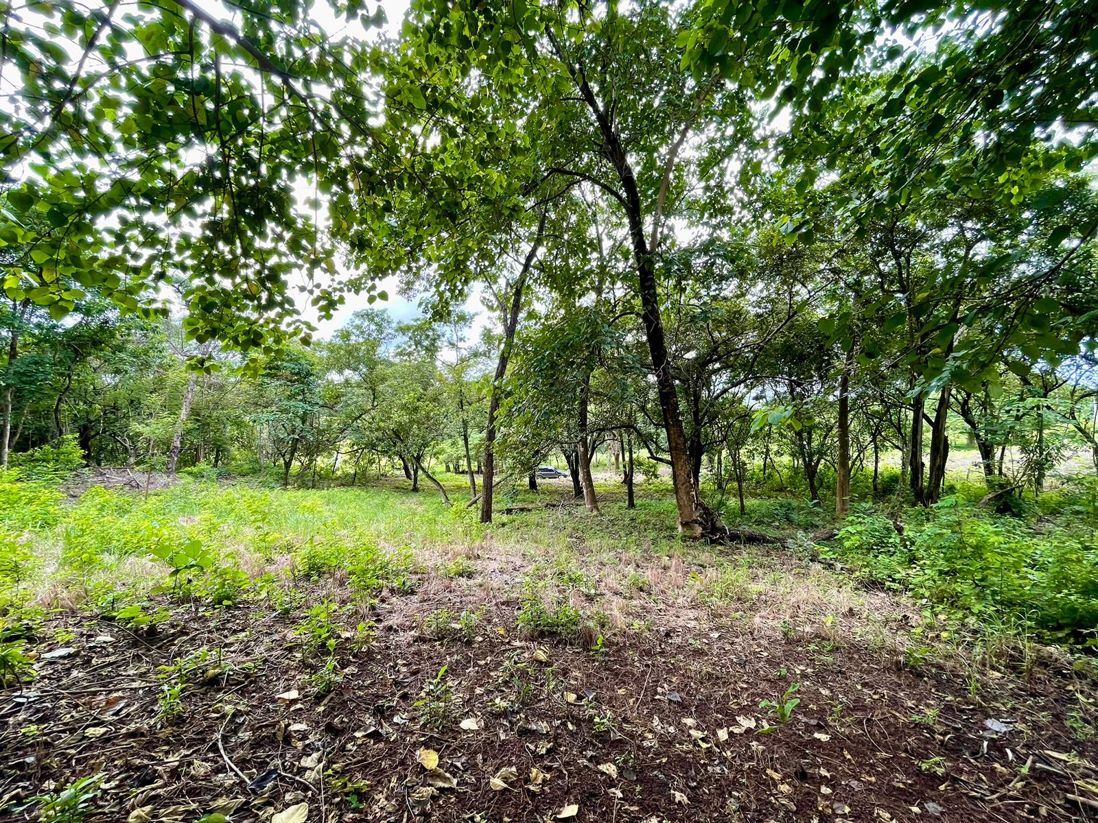 Salanitas Lot | Build Your Dream Home Near Playa Grande