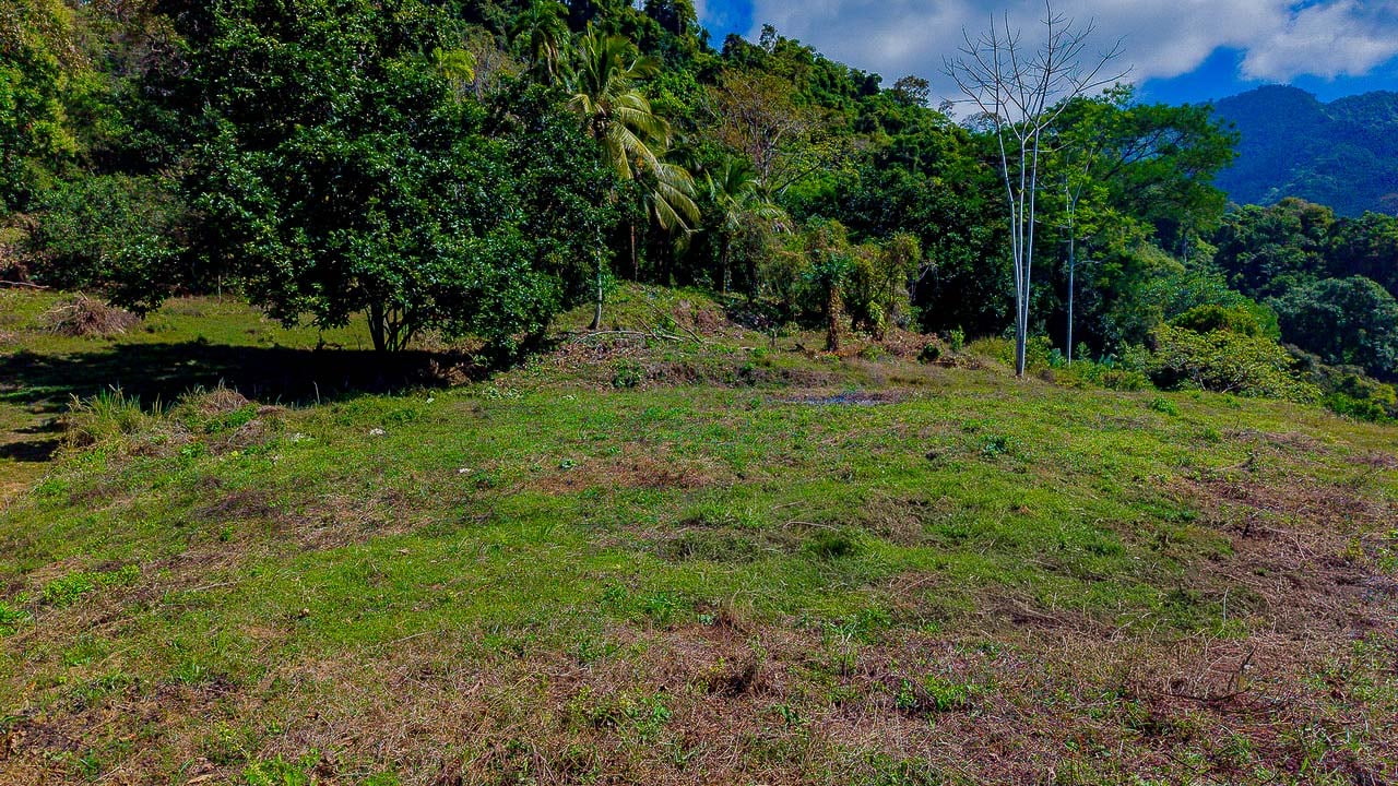 Whale Tail Views Luxury Waterfall Farm