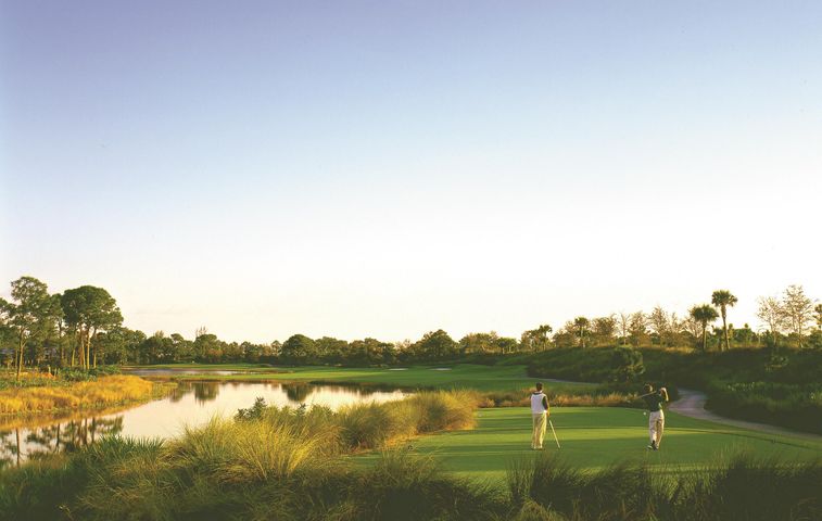 Collier's Reserve