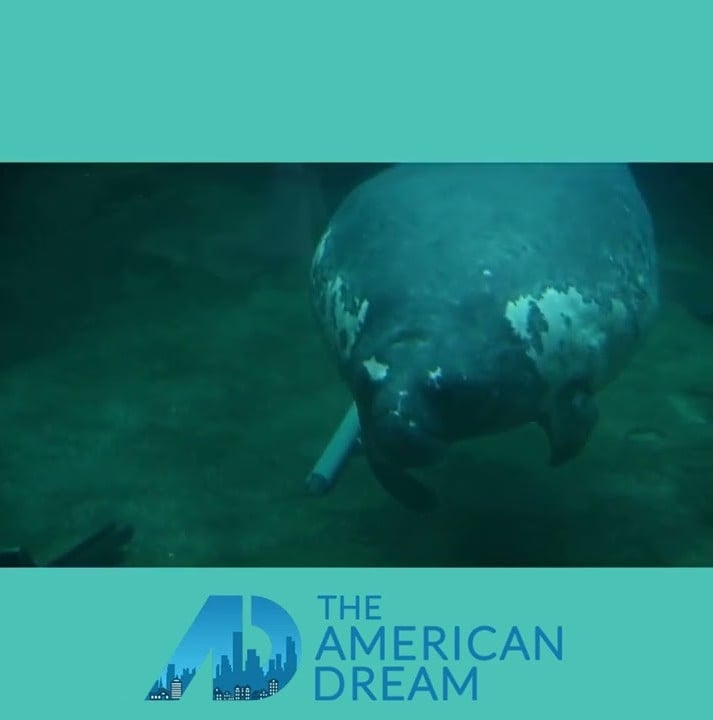 ADTV Exploring the zoo!