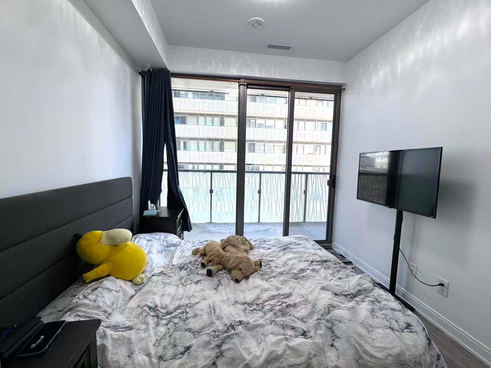 Sun-Filled Luxury Apartment