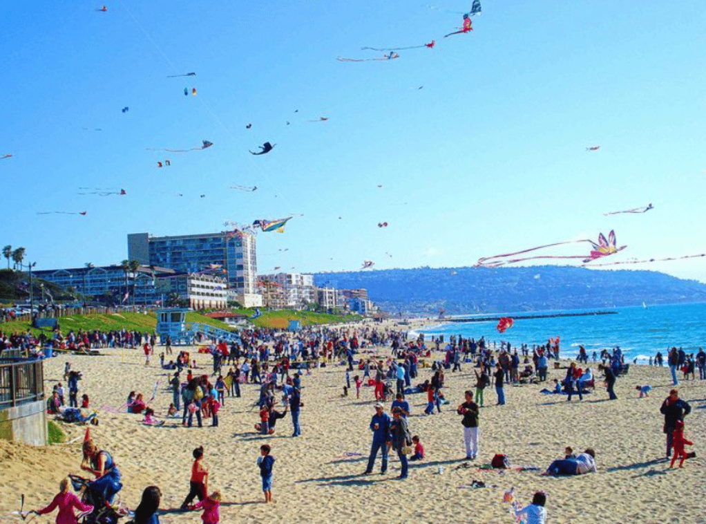 Festival of the Kite