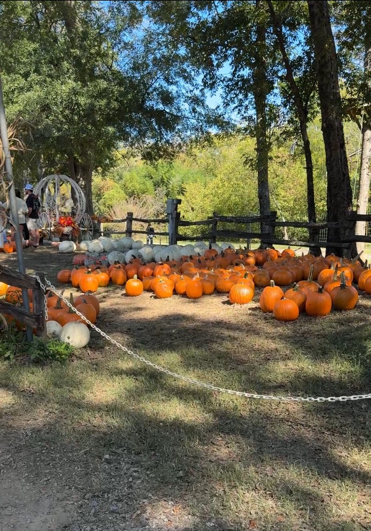 What's Going on This Weekend - October 25th-26th