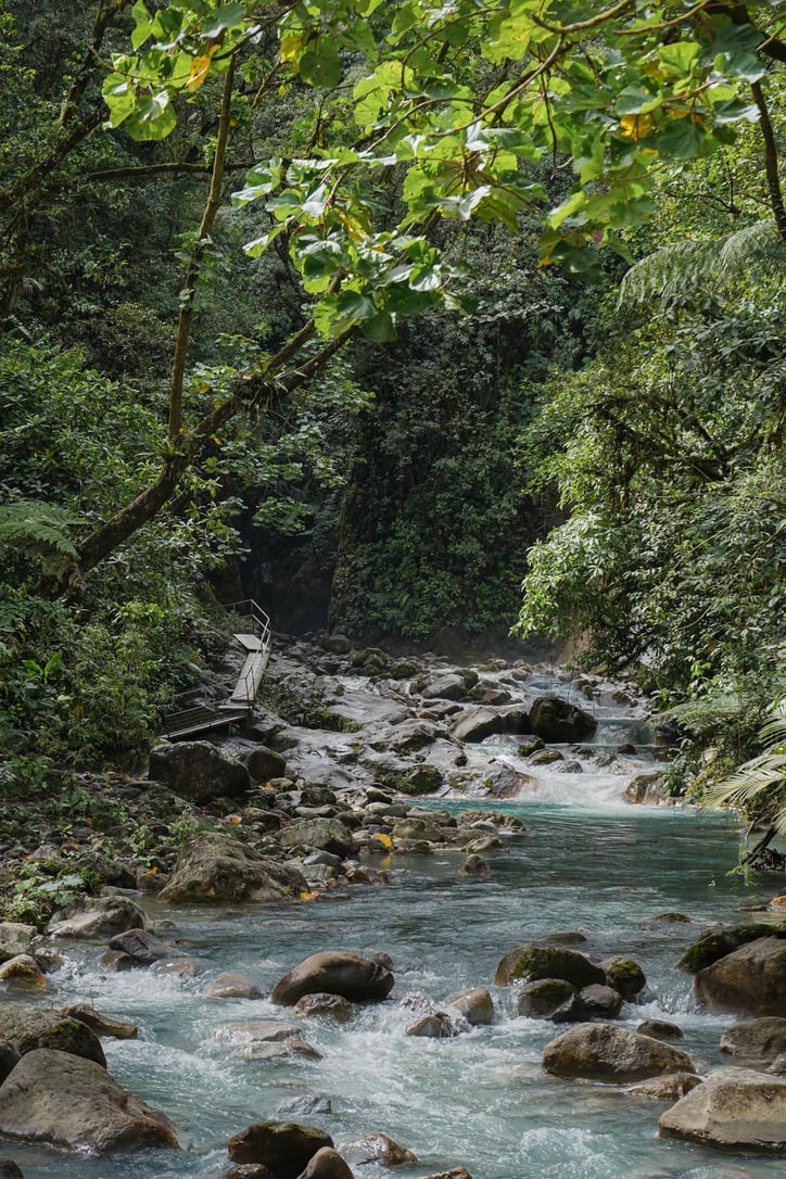 La Monarca