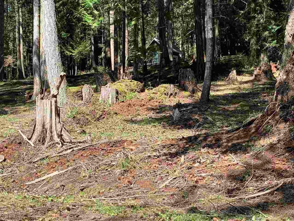 413 Campbell Bay Rd