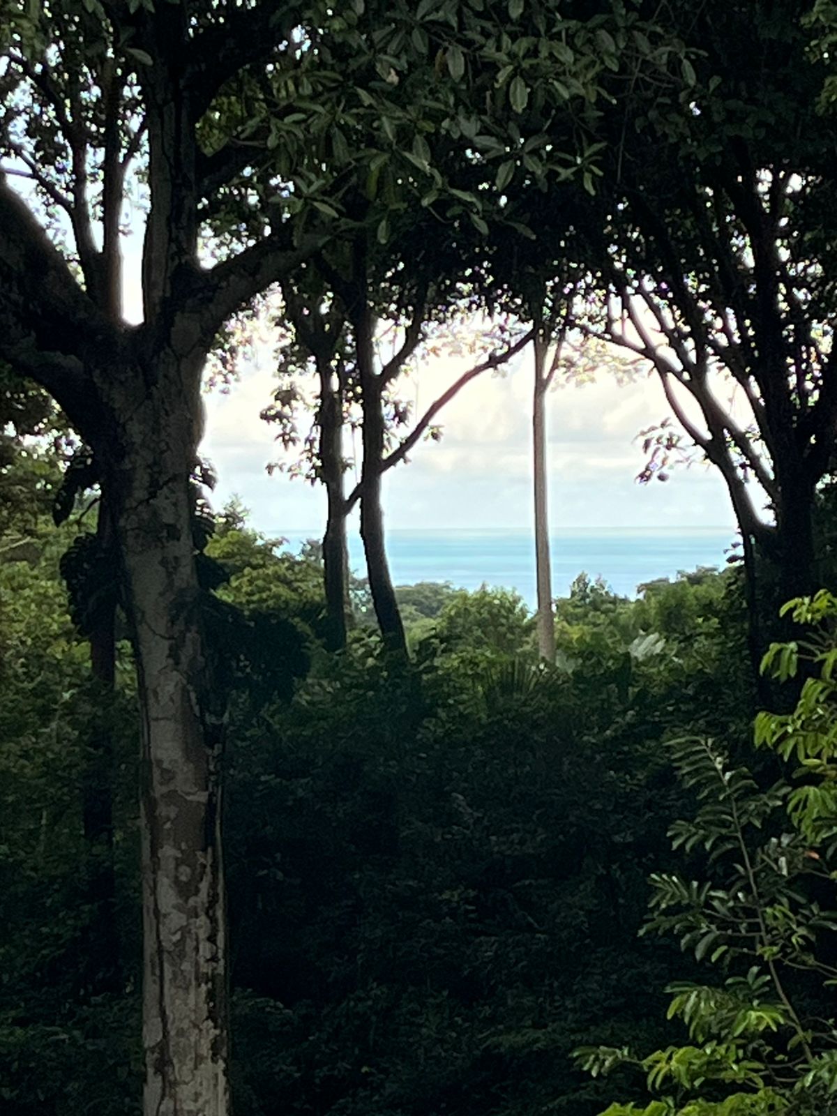Luxury Ocean View Home in Paradise Breezes – A Private Retreat Near Dominical