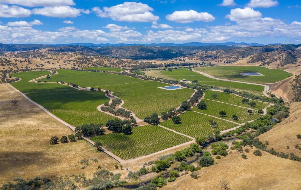 Joseph Vineyard | 76987 Nacimiento Lake Drive
