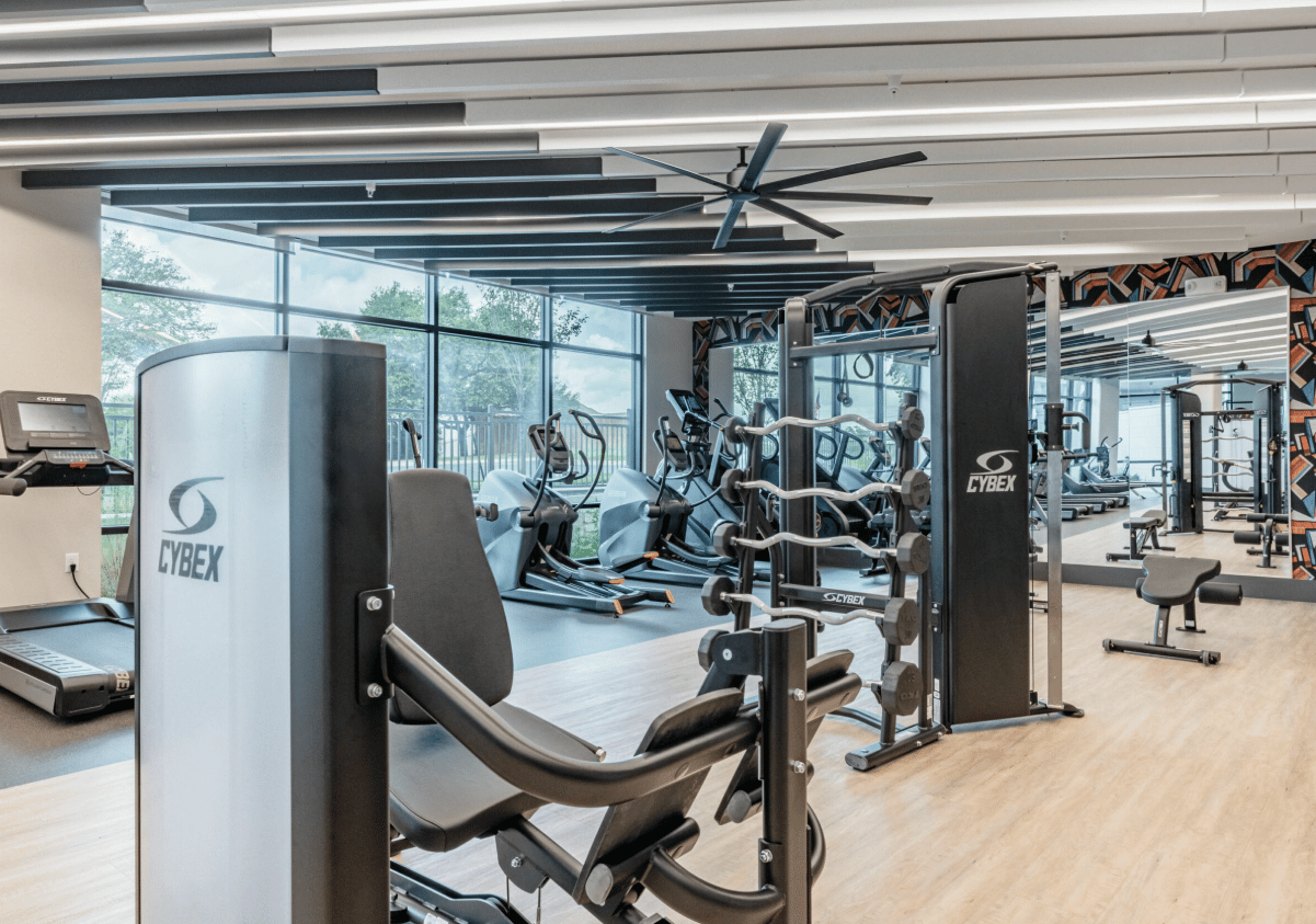 1 month free on 12+ month leases