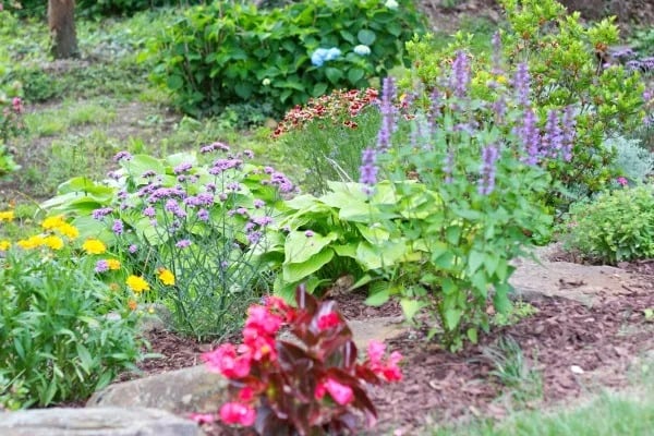Garden Love!