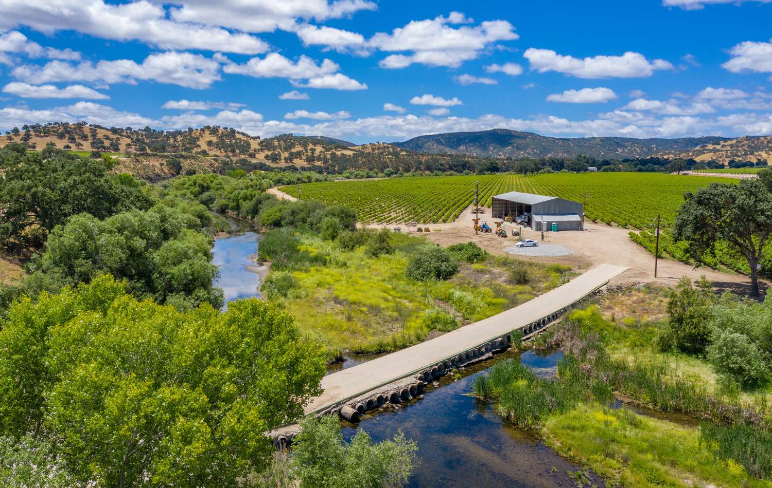Joseph Vineyard | 76987 Nacimiento Lake Drive