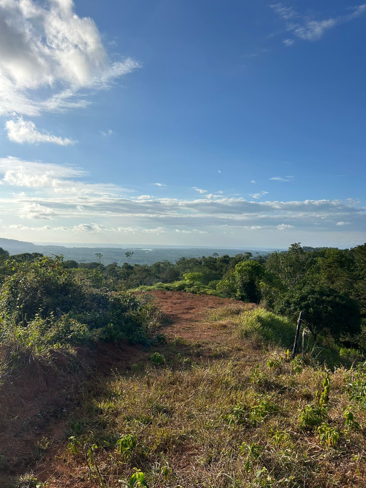 67 acres development (15 titled lots) with breathtaking views in Sierpe