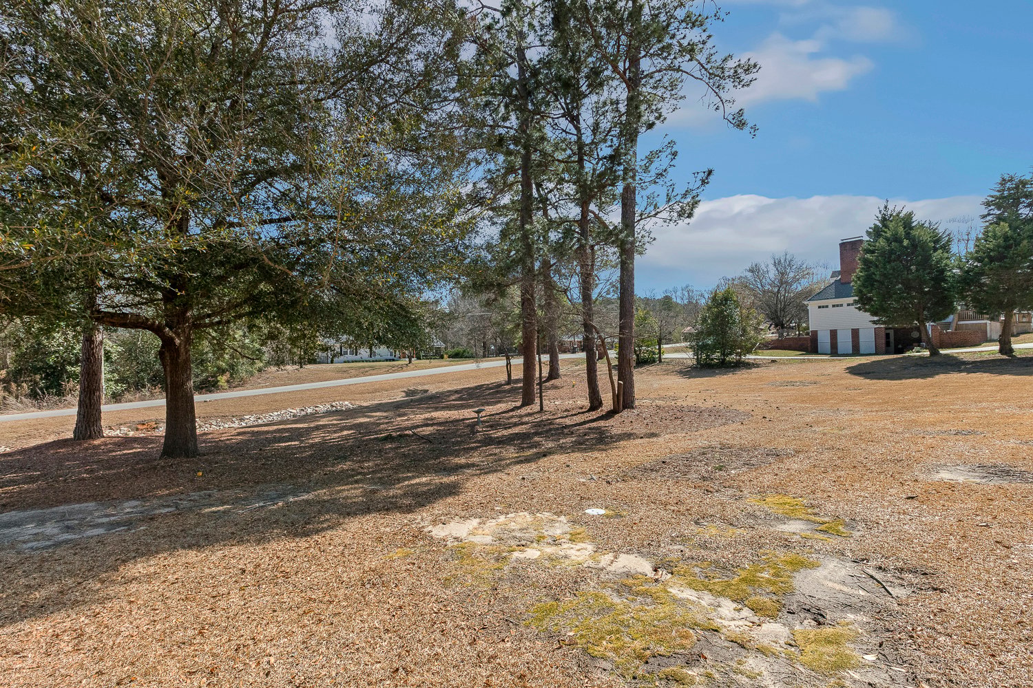 75 Morgan Drive