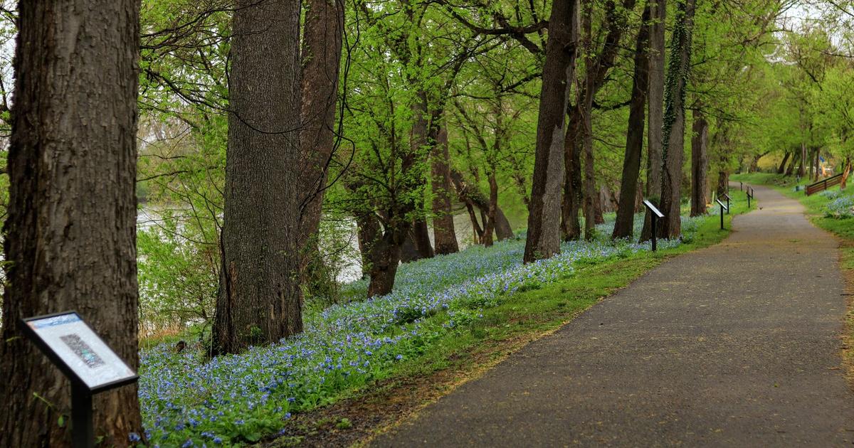 Fort Hunt and Mount Vernon: Schools, Parks, and the Parkway Trade-Off