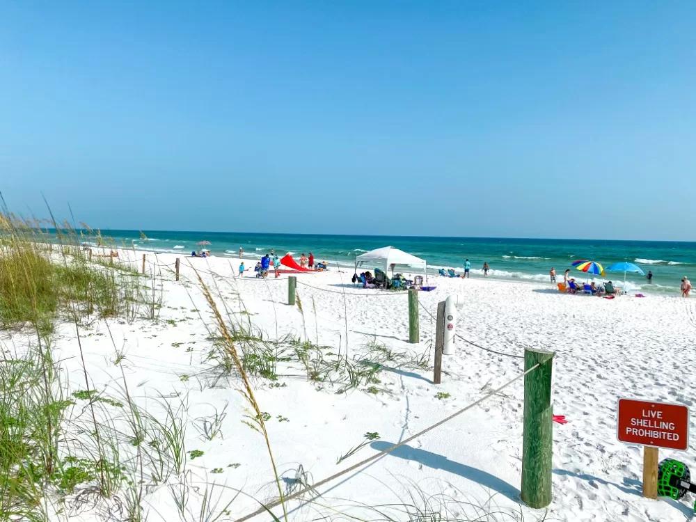 Grayton Beach Real Estate & Homes for Sale
