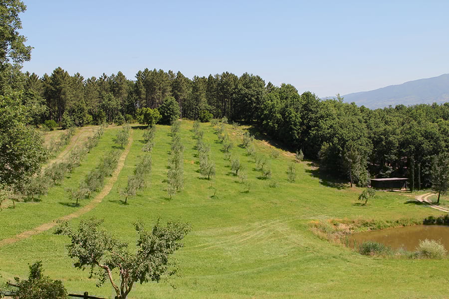 Historic Property on the Chianti Hills