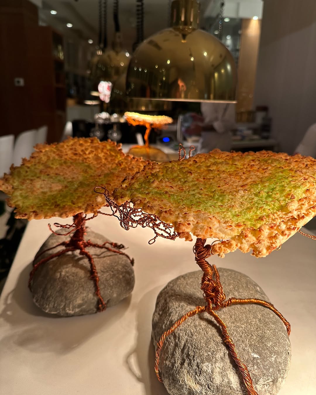 From Brickell to South Beach: Elcielo Miami's New Location is Turning Heads