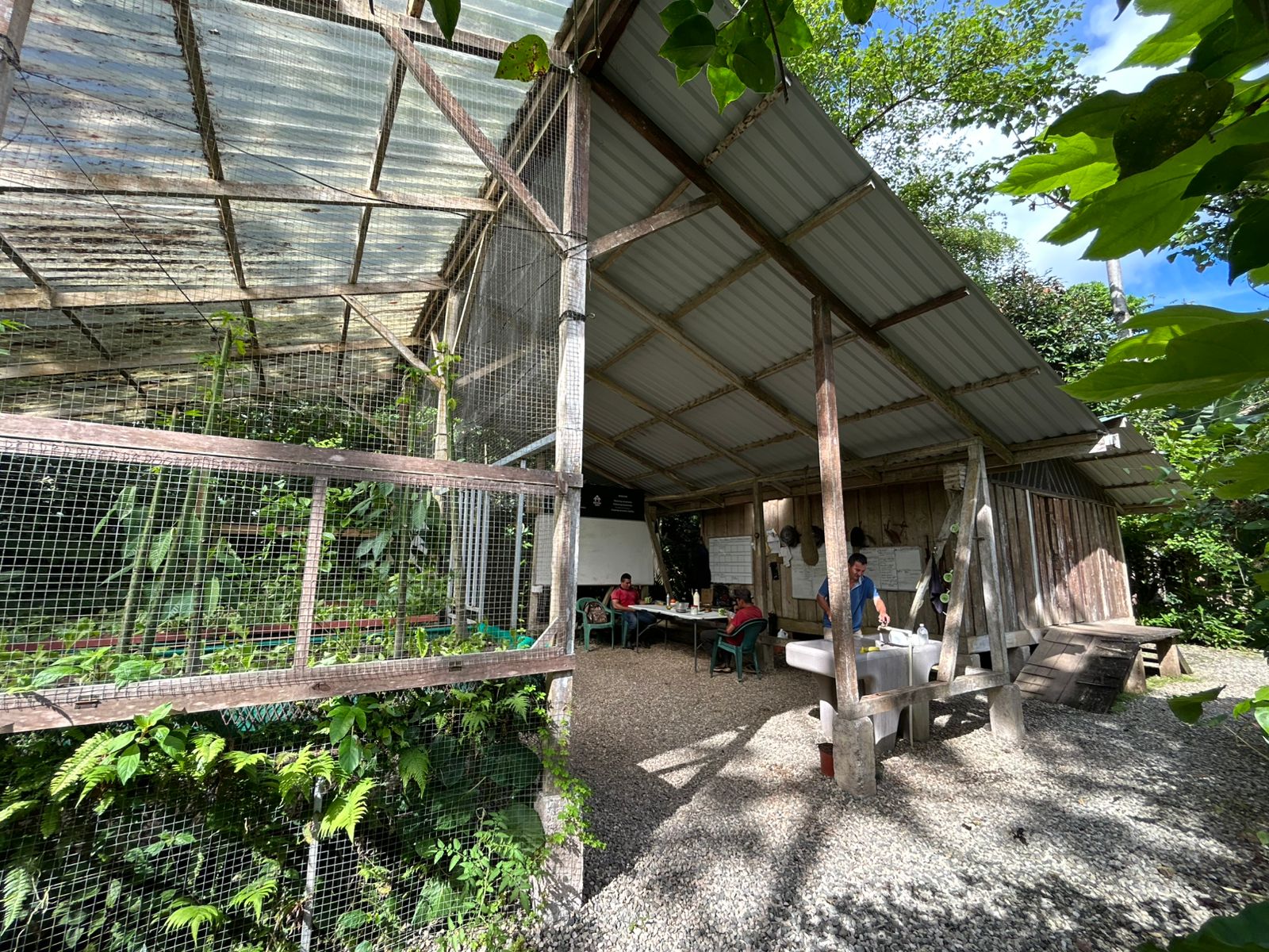 60 Acre Fully Sustainable and Impactful Conservation Initiative Near Golfito