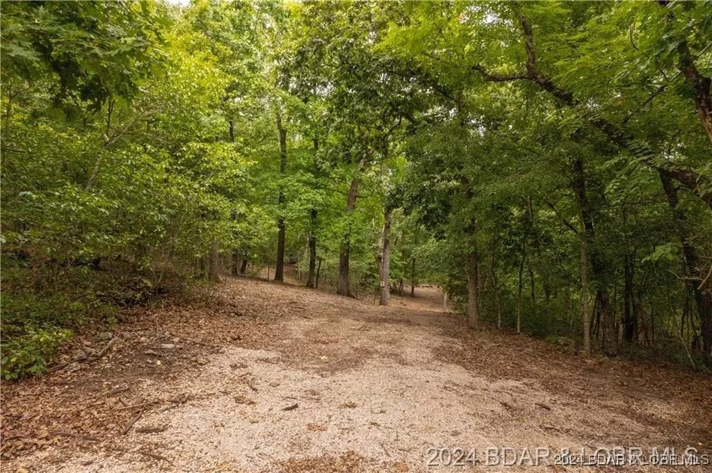 Cape Wood Dr Lot 24