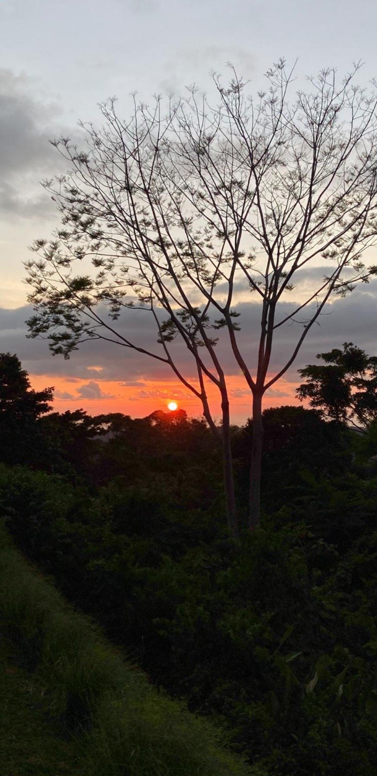 Build Amidst Untouched Jungle & Mountain Vistas | Ocean-View Estate with Fruit Orchards + Casita Design Your Vision in Tres Rios, Costa Rica