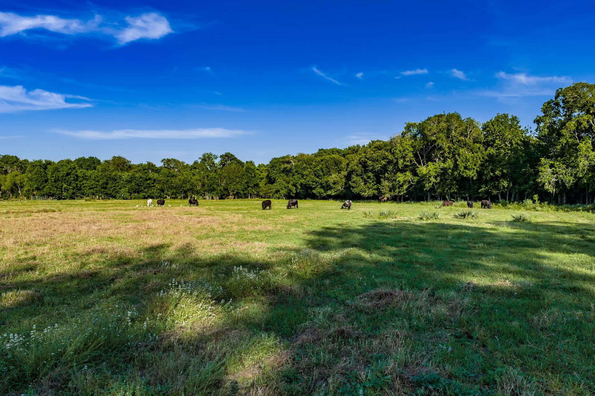 Private Listing: 27.65 Acres b/w Riverstone & Sweetwater