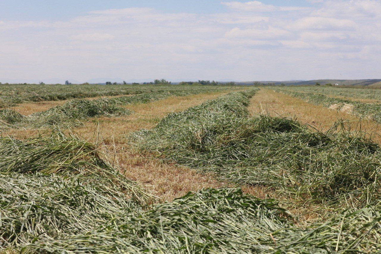 Spurs and Furs Ranch