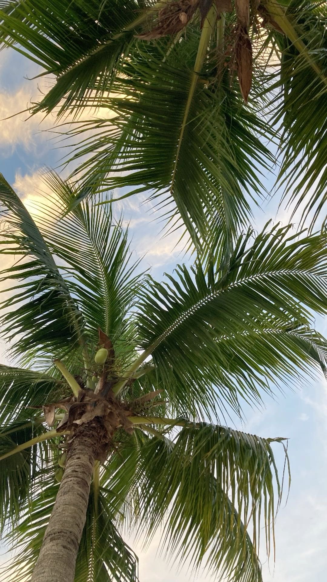 Full-Time Living On Isle Of Palms