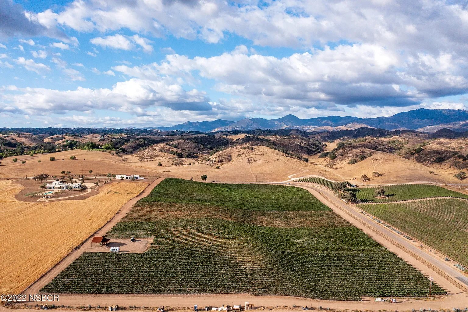 Build your Dream Vineyard Estate