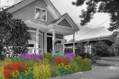 Flowers to the People: Aspen Offering Discounts on ‘Garden in a Box’ Kits