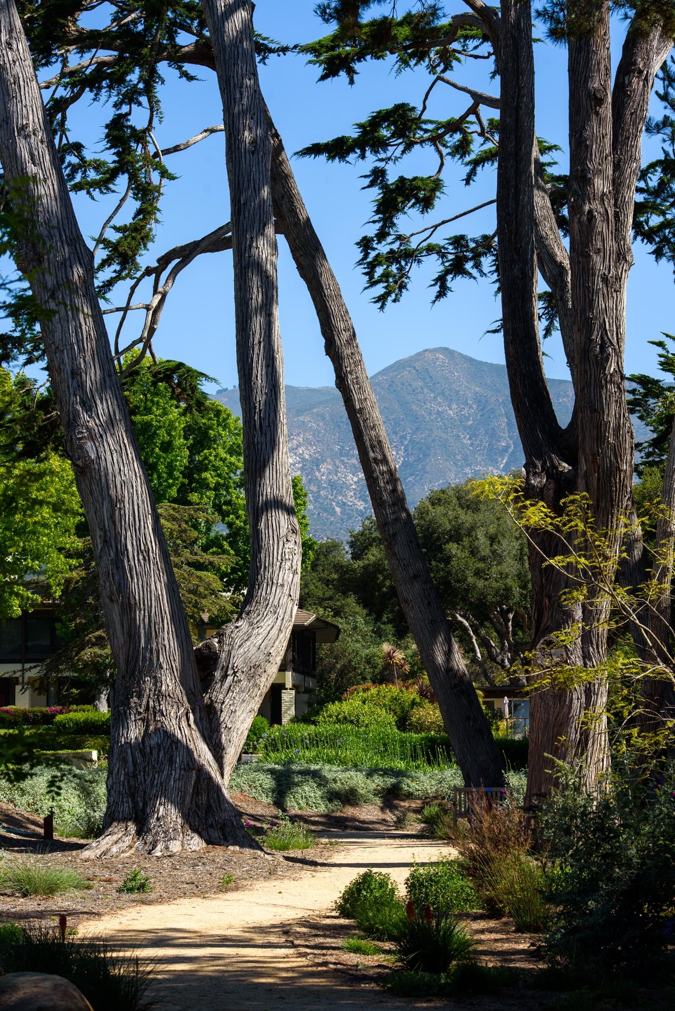 Idyllic Beachfront Living In Montecito