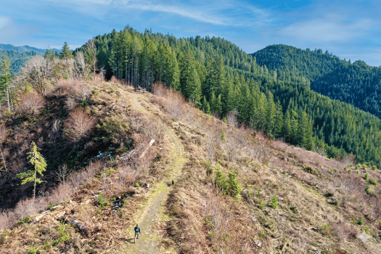 Smith River Back Woods