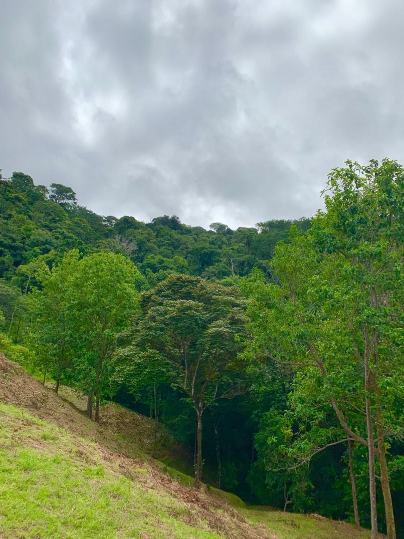 Triple Waterfall Ocean View Land, Dominical, Puntarenas