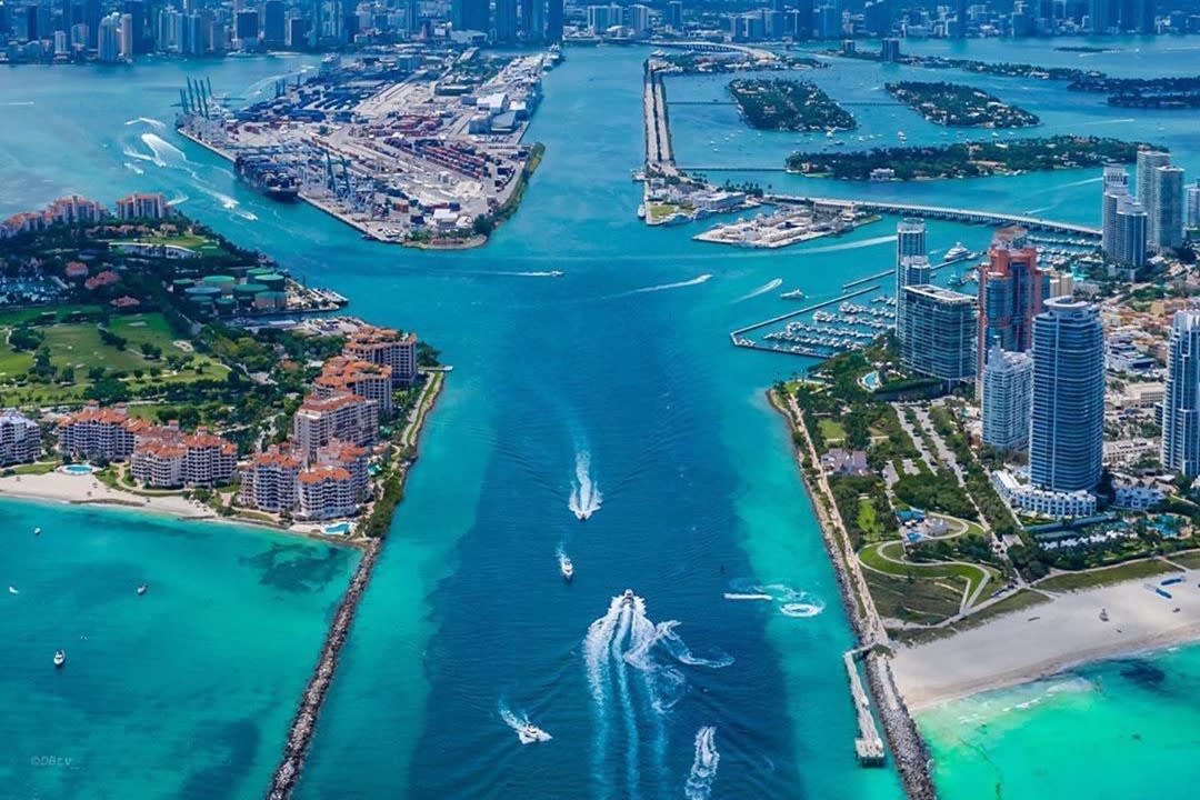Business leaders and newcomers join forces to tackle Miami's social issues
