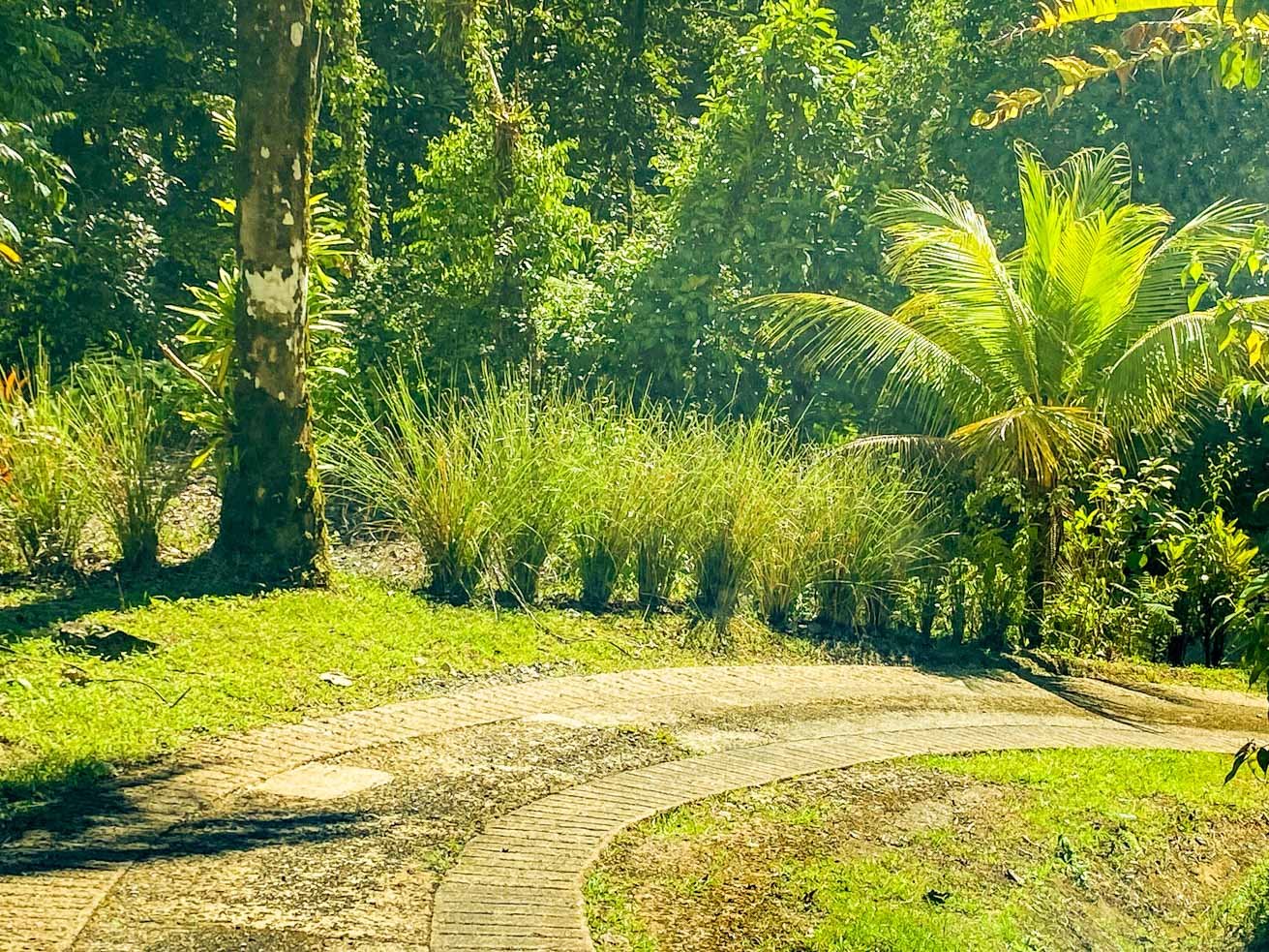 3 Bedroom Rainforest Home in Ojochal With River & Waterfall | 3.5 Acres Private