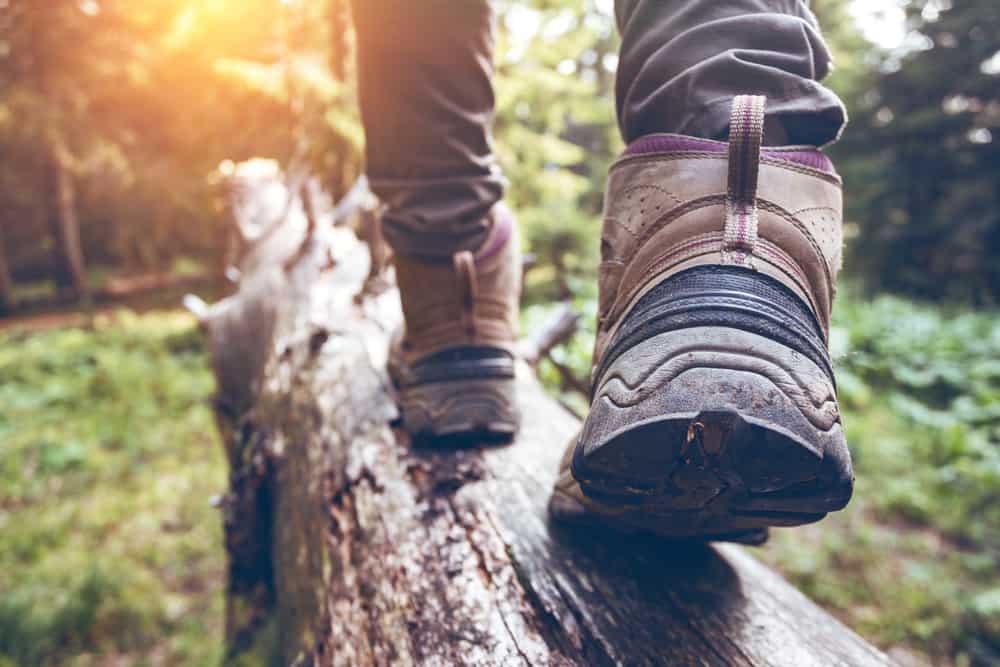 Hiker’s boots stepping along a fallen log on a sunlit forest trail.