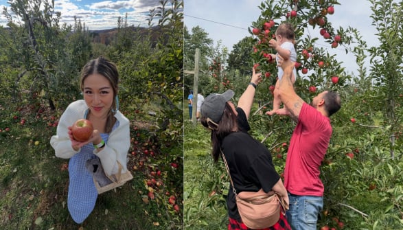 People pick apples in an orchard; a woman holds an apple, and two adults help a child reach fruit.